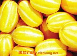 吃密瓜功效与作用,密瓜的功效与多重作用解析