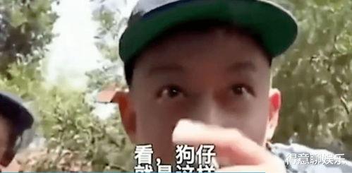 吃瓜发疯系列,揭秘娱乐圈那些疯狂瞬间