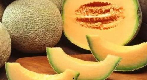 复古吃哈密瓜,复古风吃哈密瓜体验记