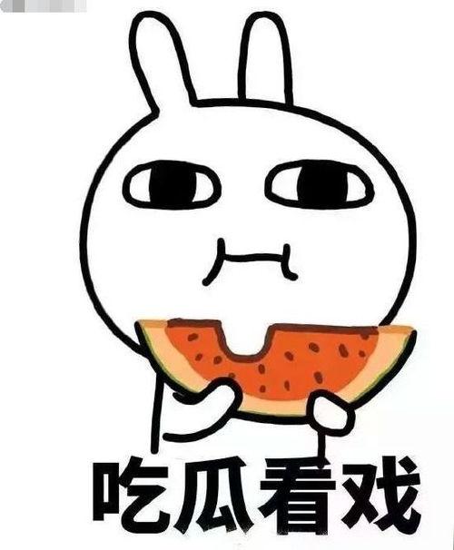 吃瓜恶猹,网络恶搞现象背后的真相与反思