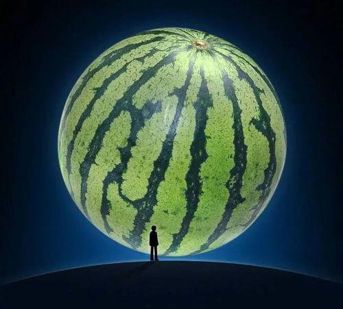 生殖医学吃瓜,揭秘生育之谜，共话生育健康